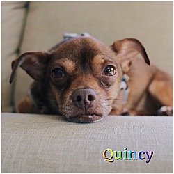 Thumbnail photo of Quincy #2