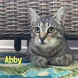 Thumbnail photo of ABBY #1