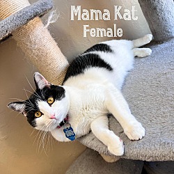 Photo of Mama Kat