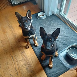 Photo of gunner and Aoife
