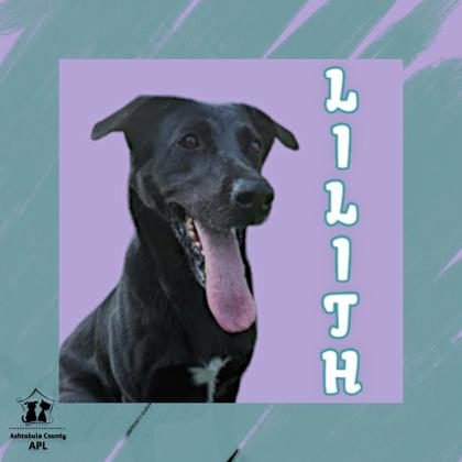 Thumbnail photo of Lilith #1