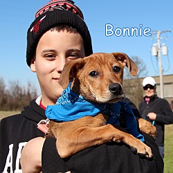 Thumbnail photo of Bonnie #3