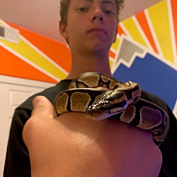 Thumbnail photo of Reese Slitherspoon #2