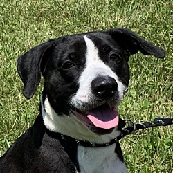 Photo of Tippy
