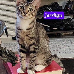 Thumbnail photo of Jerrilyn #1