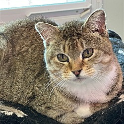 Photo of Geraldine