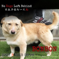 Photo of Bonbon 3920