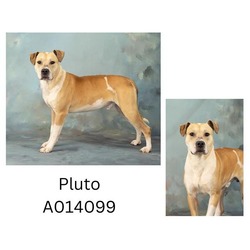 Photo of PLUTO