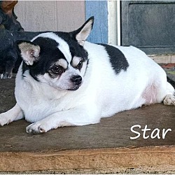 Thumbnail photo of Star #2