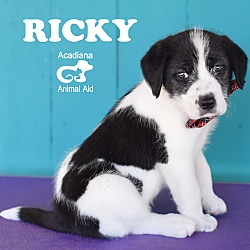 Thumbnail photo of Ricky #4