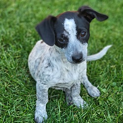 Photo of Iridessa "Dessa