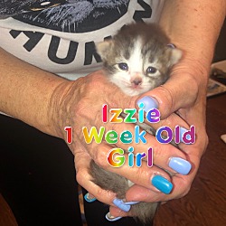 Photo of Izzie 8 weeks