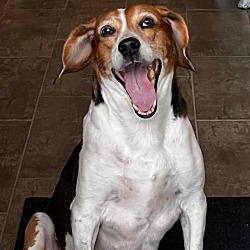 Photo of Lily