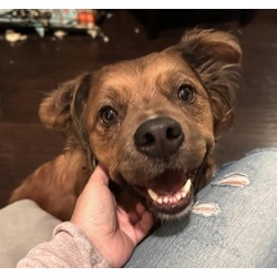 Photo of LUCY