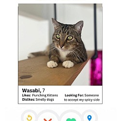 Thumbnail photo of Wasabi #1