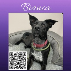 Thumbnail photo of Bianca #2