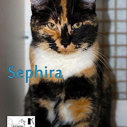 Photo of Sephira