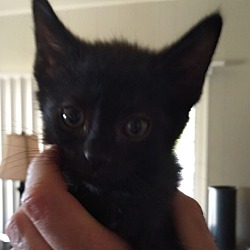 Photo of Lucille