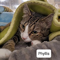 Photo of Phyllis