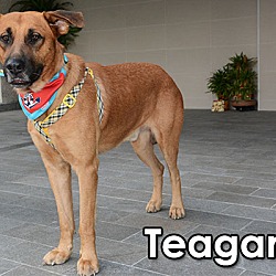 Thumbnail photo of Teagan #4