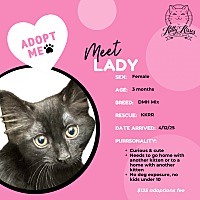 adopt a pet