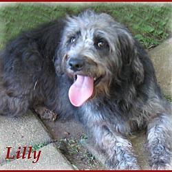 Thumbnail photo of Lily- Precious Girl #4