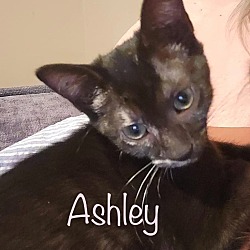 Photo of Ashley