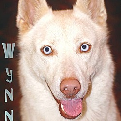 Thumbnail photo of Wynne #1