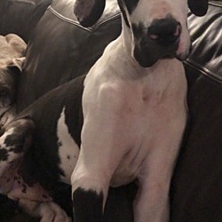 Thumbnail photo of KANE #2
