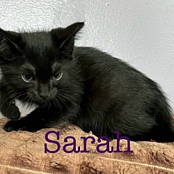 Thumbnail photo of Sarah #2