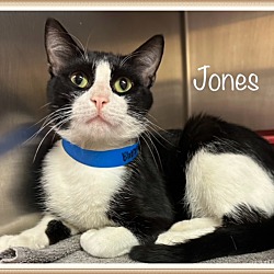 Thumbnail photo of Jones #4