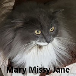 Photo of Mary Missy Jane
