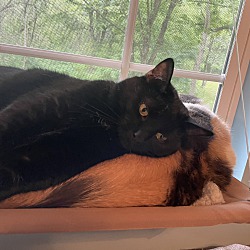 Photo of OPIE
