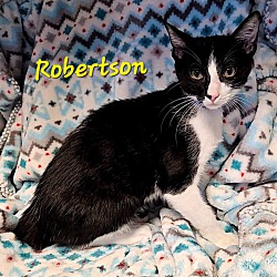 Thumbnail photo of Robertson #1