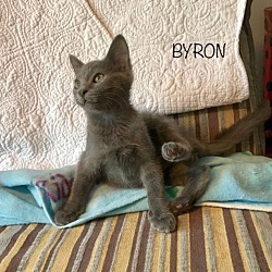 Thumbnail photo of Byron #1