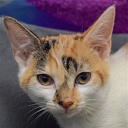 Photo of Maybelle