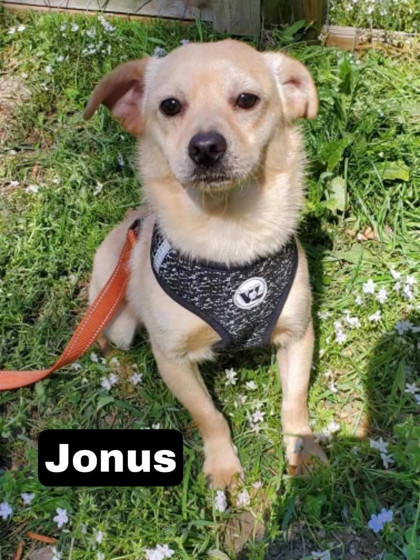 Photo of Jonus