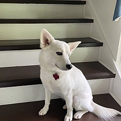 Thumbnail photo of Bella ‘Opihi #1