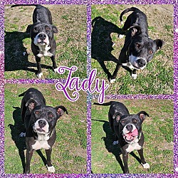 Thumbnail photo of Lady #4