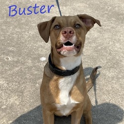 Thumbnail photo of Buster 240414 #2