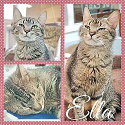 Thumbnail photo of Ella #1