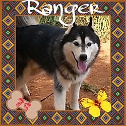 Thumbnail photo of Ranger #1