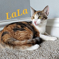 Photo of LaLa