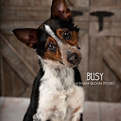 Photo of Busy