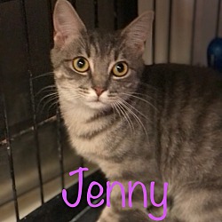 Thumbnail photo of JENNY #1