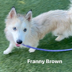 Photo of FRANNY-A2145655