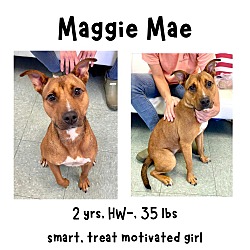 Photo of Maggie Mae