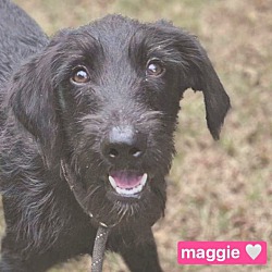 Photo of MAGGIE (located on LONG ISLAND
