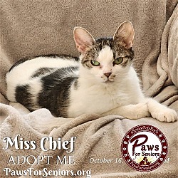 Photo of Miss Chief