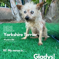 Thumbnail photo of Gladys #2